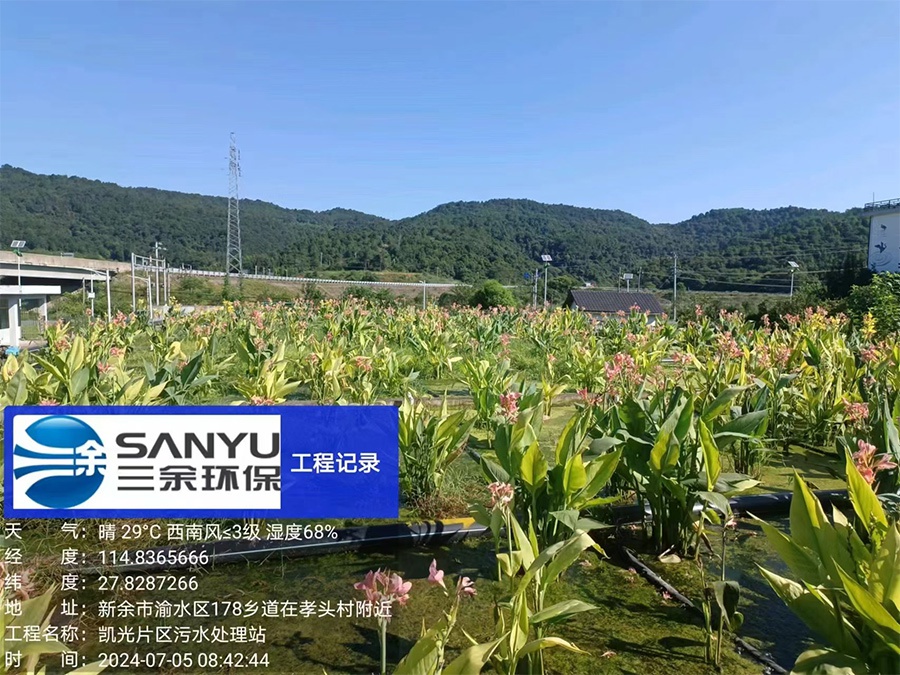 江西新余市农村生活污水处理