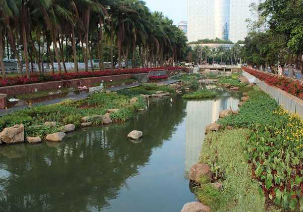 海南某地黑臭水体治理